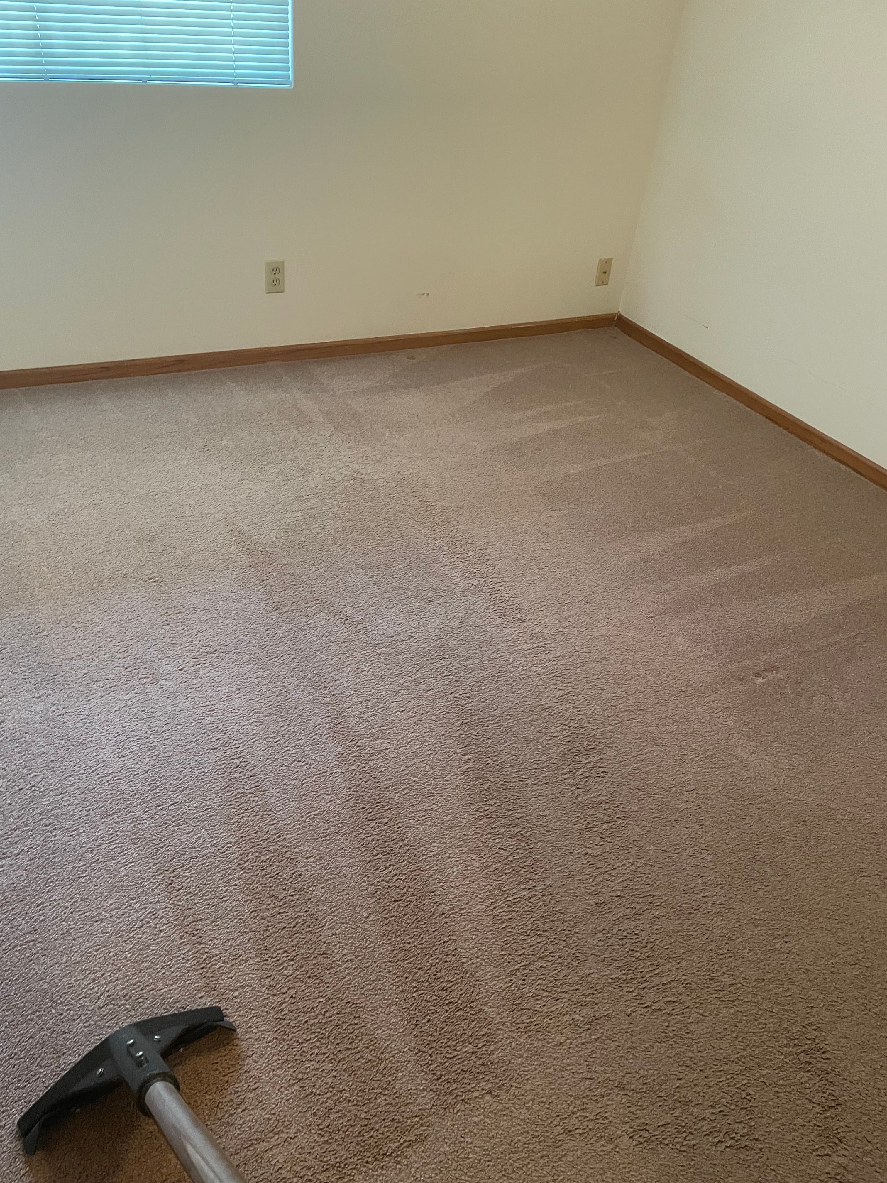 Alfombra limpiada por RJ Cleaning en Omaha, NE